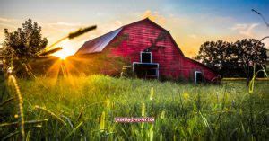 Image result for Prepper Homestead