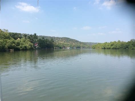 Goa Fishing Adventures (Sinquerim) - All You Need to Know BEFORE You Go