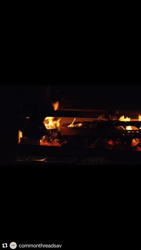 Joseph Harrison | @southernmushrooms this is a little action of what ...