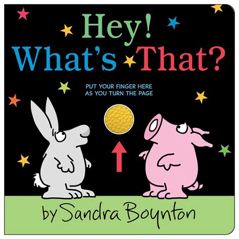 Hey! What's That? | Book by Sandra Boynton | Official Publisher Page | Simon & Schuster UK