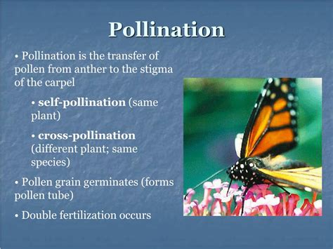 Image result for Types of Plant Reproduction