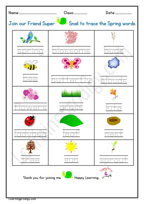 Spring Worksheet 的图像结果