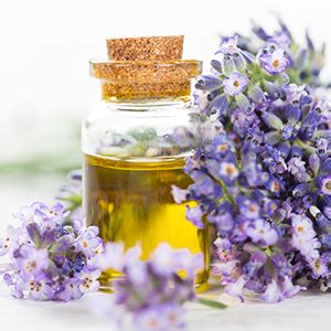 Buy Mamaearth Healing Natural Body Lotion with Argan Oil & Macadamia ...