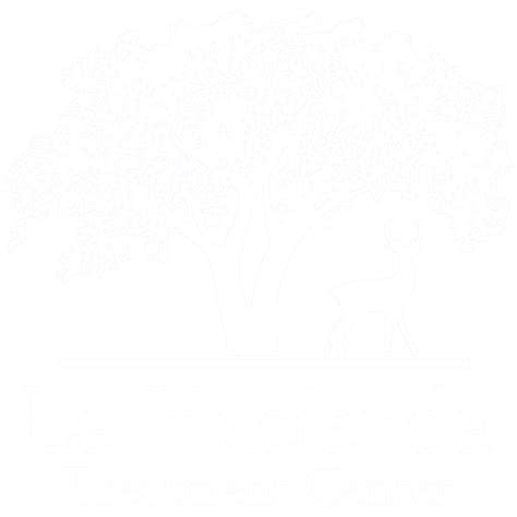 What You Need to Know about Bromphen PSE DM | La Hacienda