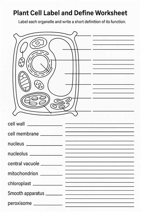 Plant Cell Label and Define Worksheet - Download & Print Now!