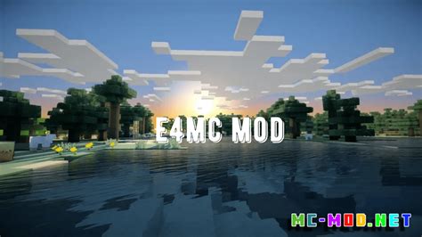 Image result for E4MC Mod How to Use
