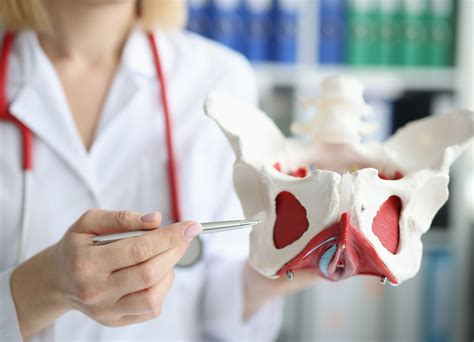 Bladder Spasms 的图像结果