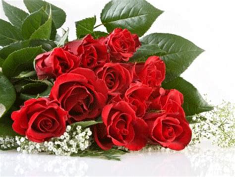99朵玫瑰花网上订购,网上订99朵玫瑰花束 - 百花园鲜花速递