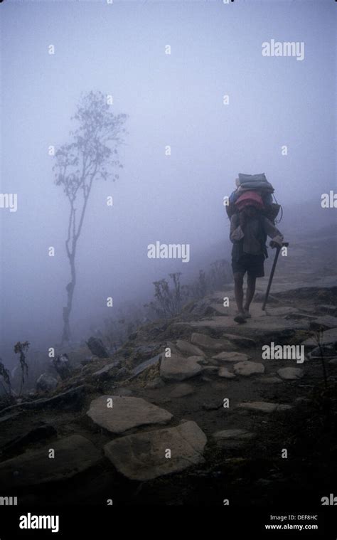 Local Mountain People India 的图像结果