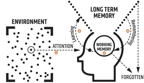 Image result for Willingham Simple Memory Model