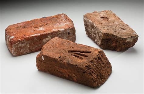 Image result for Minecraft Frog Base