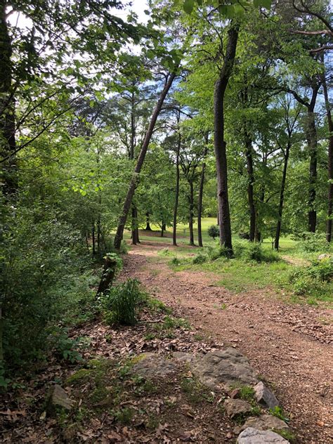 George Ward Park | Course Photos