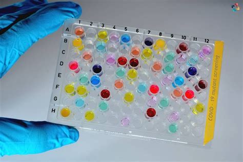 Image result for High-Throughput Screening