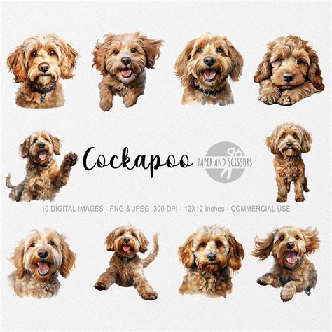 Image result for Cockapoo ClipArt
