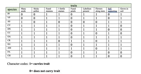 Image result for Create a Phylogenetic Tree Based On a Data Matrix