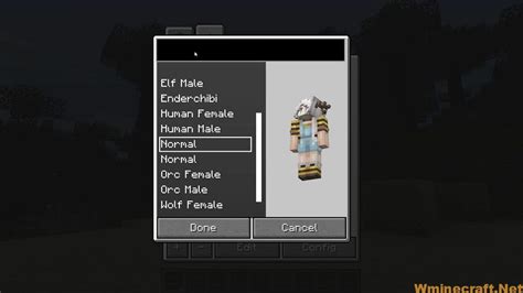 Image result for How to Install Minecraft More Player Models Mod Java 2021
