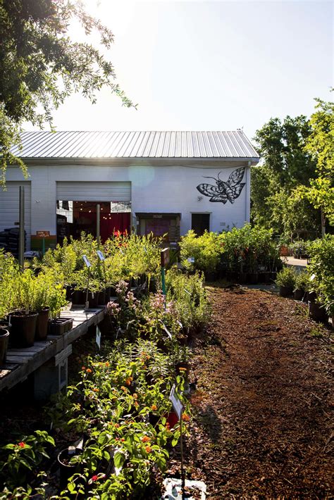 Seven Standout Southern Nurseries – Garden & Gun