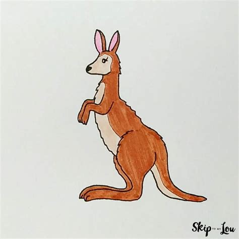 Kangaroo Drawing