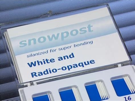 Efficient Root Build-up with Mineral Fiber Posts and Adhesive Bonding ...