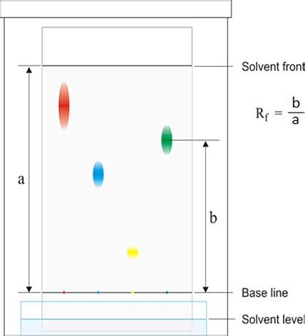 Paper Chromatography Using Locating Agents - Chemistry for Grade 11 ...
