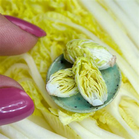 TUTORIAL Miniature napa cabbage with air dry clay | Miniatur - Inspire ...