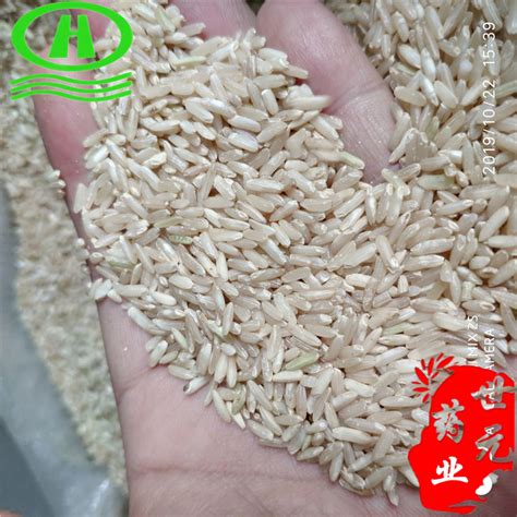 世元药业 粳米 别称 粳稻 嘉蔬 粟米白米 粳粟米 稻米_中药材诚实通