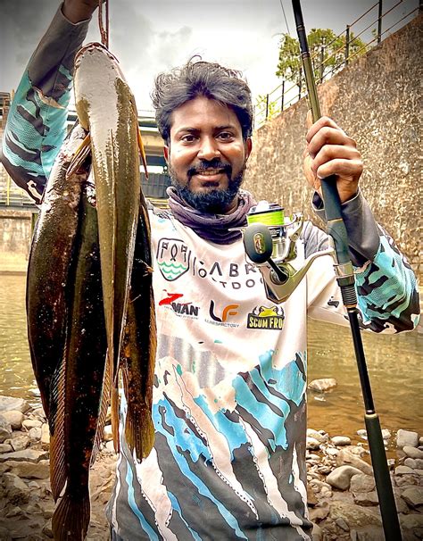 Daiwa Phantom Power Spinning Rod | 8 Ft - MH | 9 Ft - MH | 10 Ft - MH