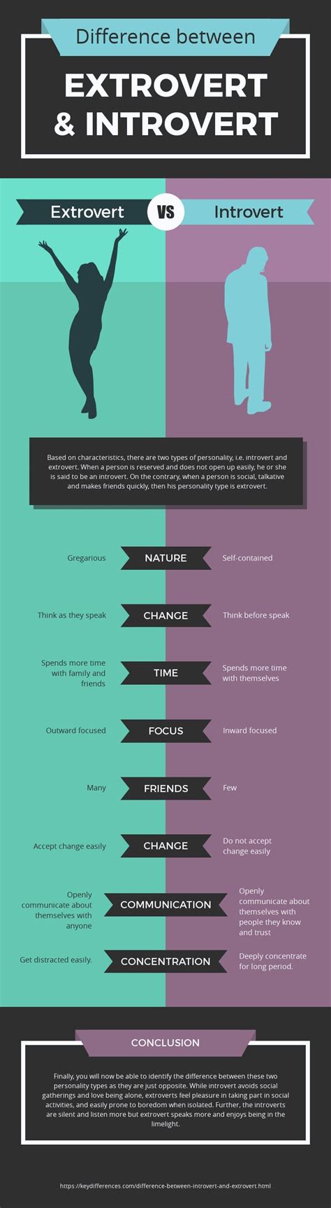 Image result for Introvets vs Extroverts