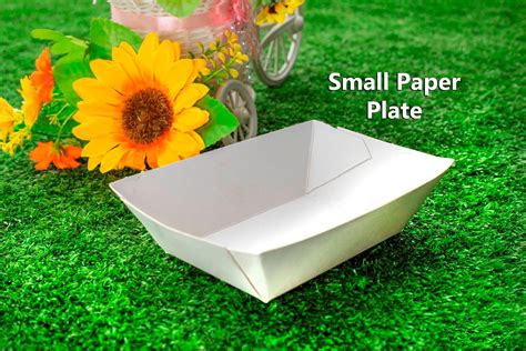 Small Papper Plate 的图像结果