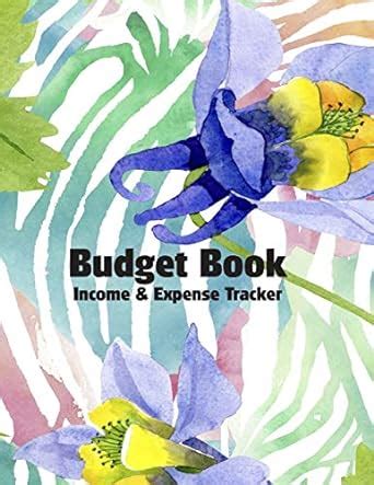 Buy Budget Book Income and Expense Tracker: Spending Journal and ...