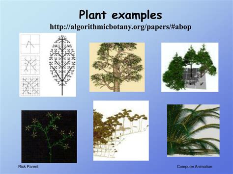 Computer Algorithms Animation 的图像结果