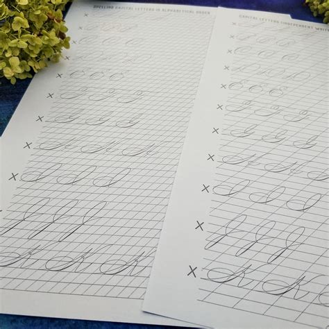 Image result for Spencerian Script Calligraphy Alphabet