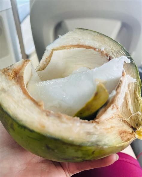 టాలీవుడ్ నటి అనసూయ భరద్వాజ్ జిమ్ లో వర్కవుట్ ఫోటోలు వైరల్|tollywood ...