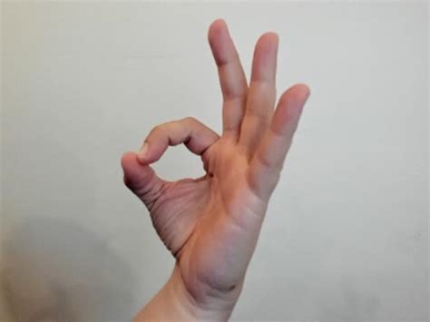 Fast ASL Sign 的图像结果