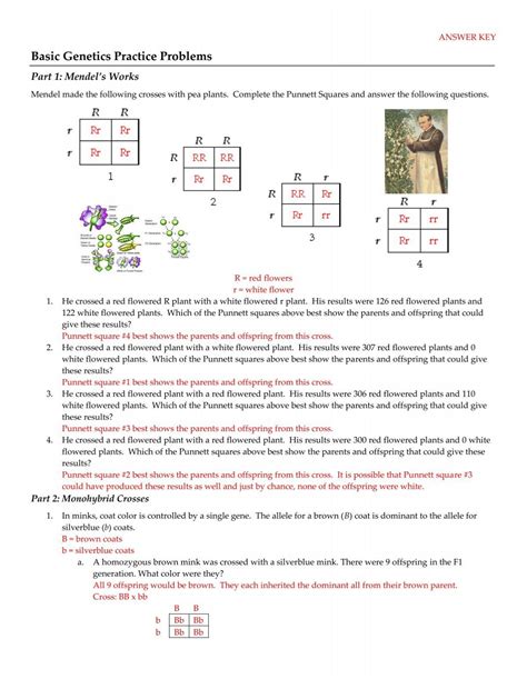 Image result for Practice Problems for Genetics