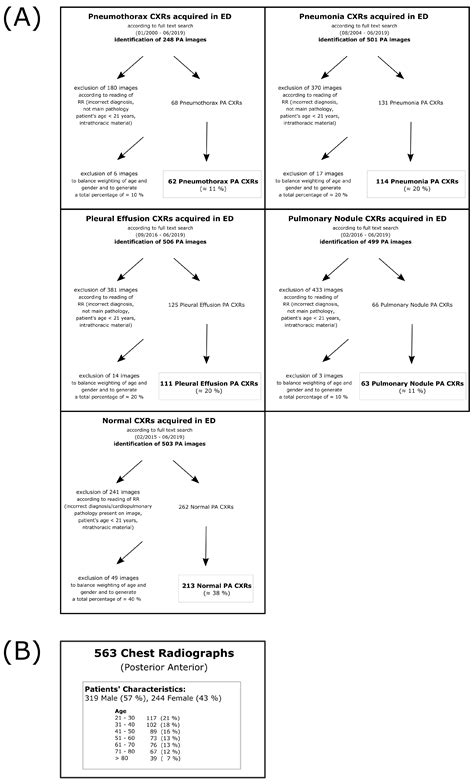 Interpretation of Thoracic Radiography Shows Large Discrepancies ...