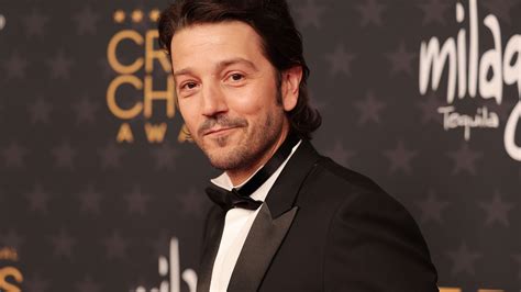 Image result for Diego Luna Princess Bride