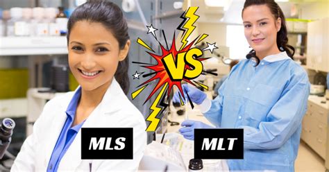 Image result for Lab MLT