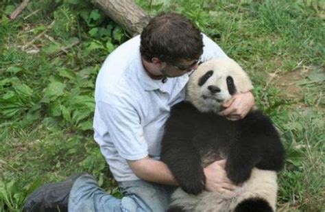 熊猫坐在饲养员身边，竟遭推开，奶爸：别忘了自己几斤几两！__财经头条