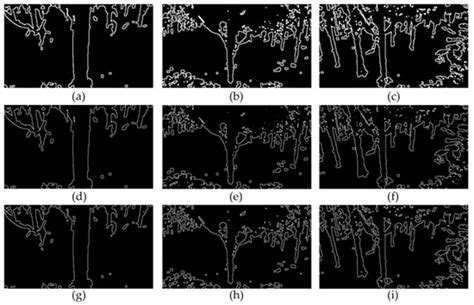 Maize (Zea mays L.) Stem Target Region Extraction and Stem Diameter ...