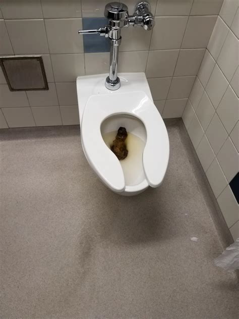 Scat Toilette