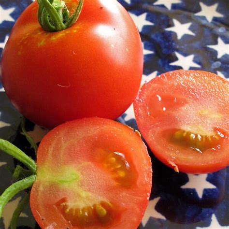 Tomato 'Hellfrucht' (Solanum lycopersicum) seeds