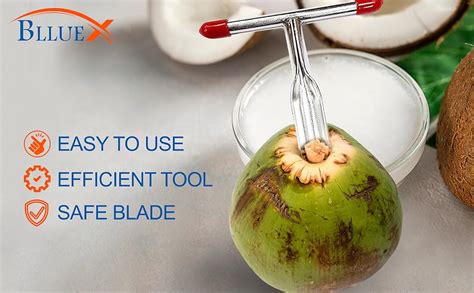 Buy BLLUEX Stainless Steel Coconut Opener Tool, Heavy Duty Manual ...
