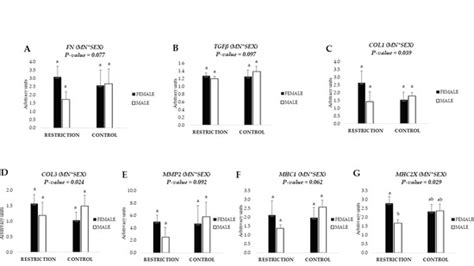 Skeletal Muscle Development in Postnatal Beef Cattle Resulting from ...