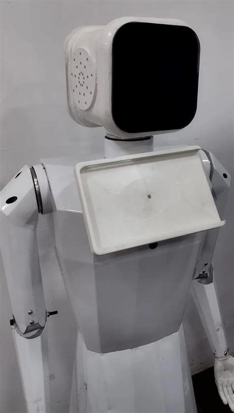 Intelligent Humanoid Robot 的图像结果