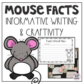 Image result for Mouse Facts