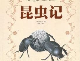 写给中国儿童的昆虫记——蝉|插画|绘本|米笑_MICHELLE - 原创作品 - 站酷 (ZCOOL)