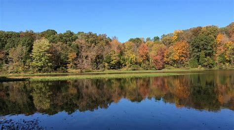 THE HARRISON AT RESTON TOWN CENTER - Apartment Reviews & Photos ...