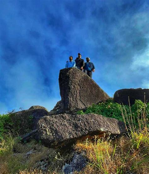 Rangana Betta Homestay, Chikmagalur - Homestay Advisor