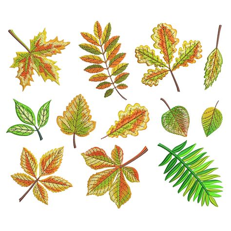 Image result for Fall Leaf Designs
